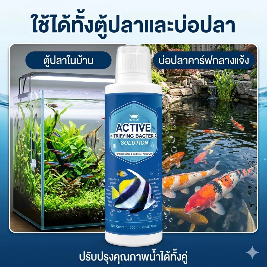 จุลินทรีย์ แบคทีเรีย บ่อปลา ตู้ปลา น้ำใส ลดตะไคร่ ย่อยของเสีย ลดกลิ่น