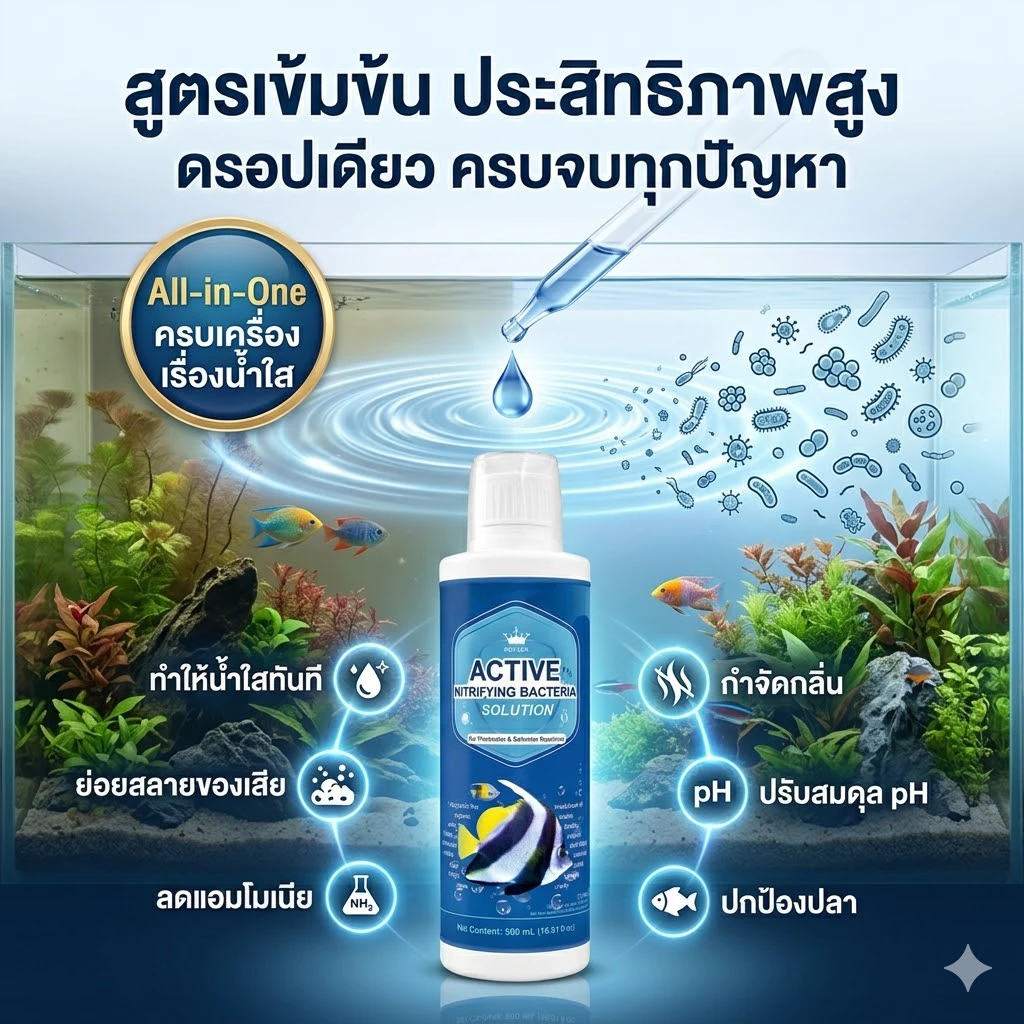 จุลินทรีย์ แบคทีเรีย บ่อปลา ตู้ปลา น้ำใส ลดตะไคร่ ย่อยของเสีย ลดกลิ่น
