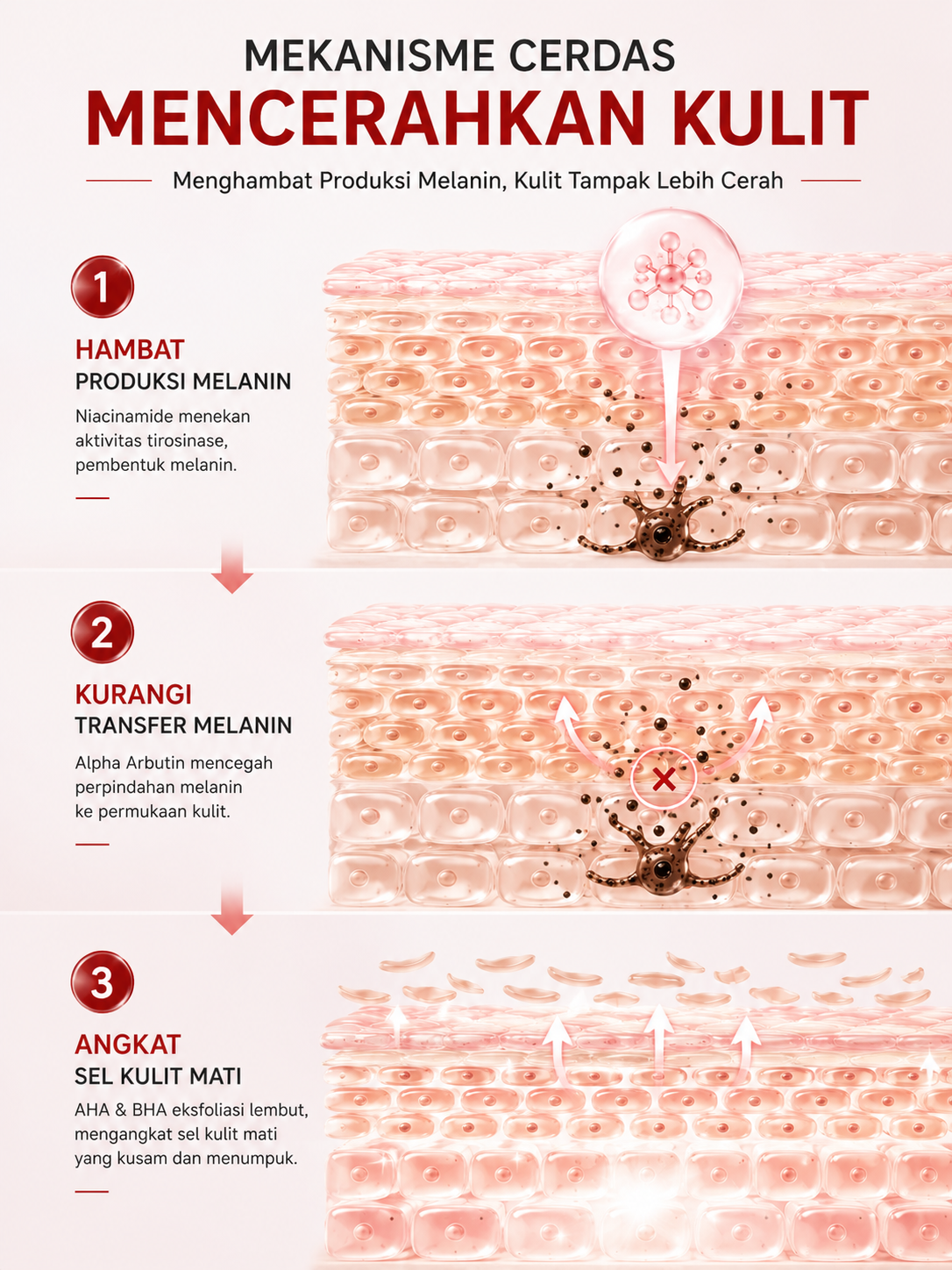 Krim Penghilang Flek Hitam Membandel & Bekas Jerawat - Whitening Spot Lightening Cream Niacinamide Alpha Arbutin AHA BHA BPOM Mencerahkan Kulit Kusam