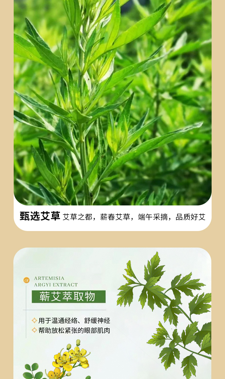 蘄艾蒸汽眼罩 Qiai Moxa Steam Eye Mask