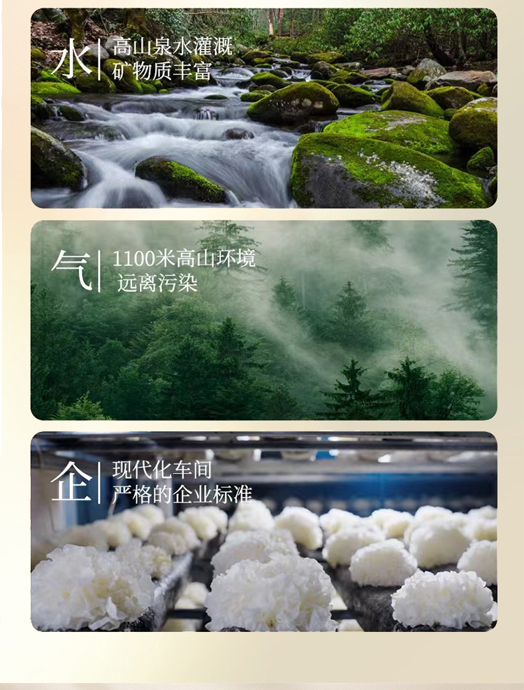 有機富硒銀耳