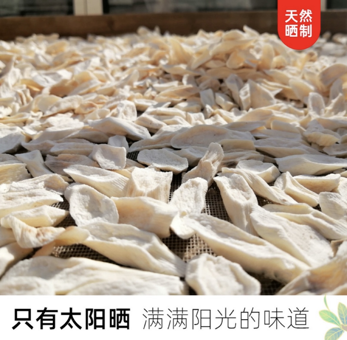 山藥片 Chinese Yam Slices