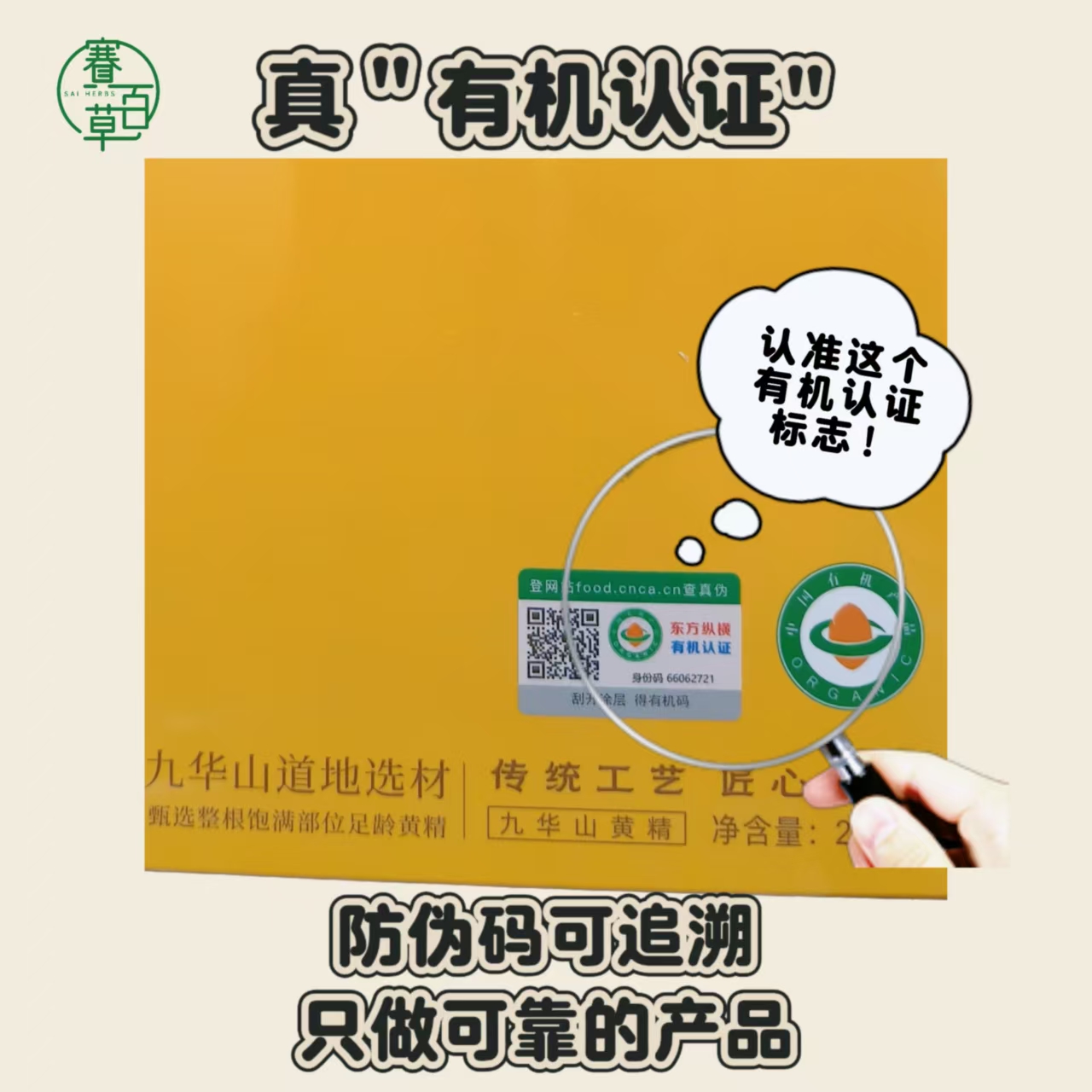 黃精果 九華山有機仿野生黃精
