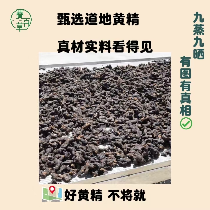 黃精果 九華山有機仿野生黃精