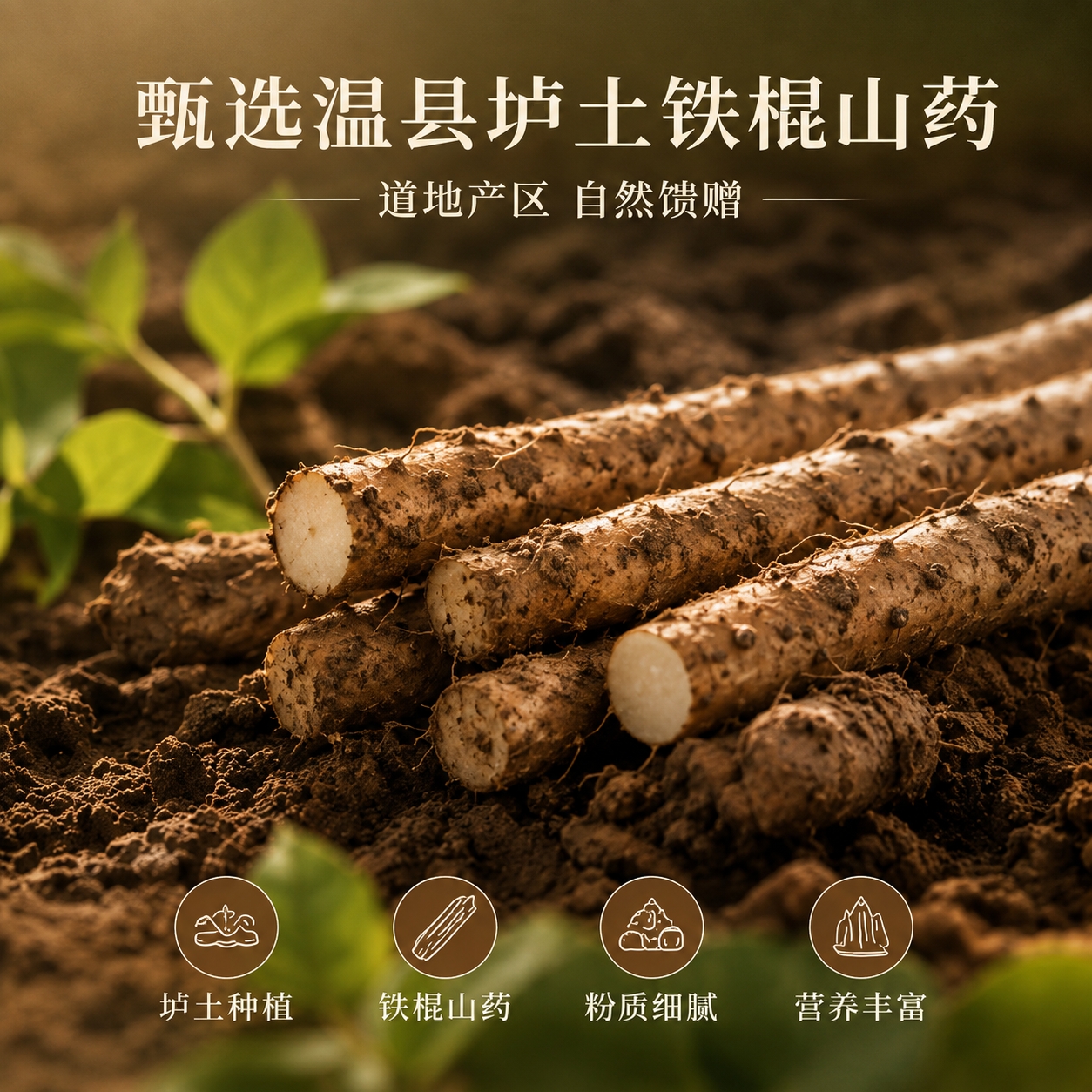 鐵棍山藥粉