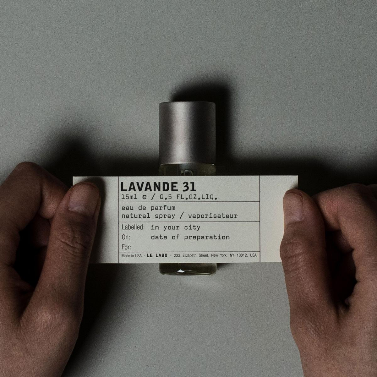 LAVANDE 31