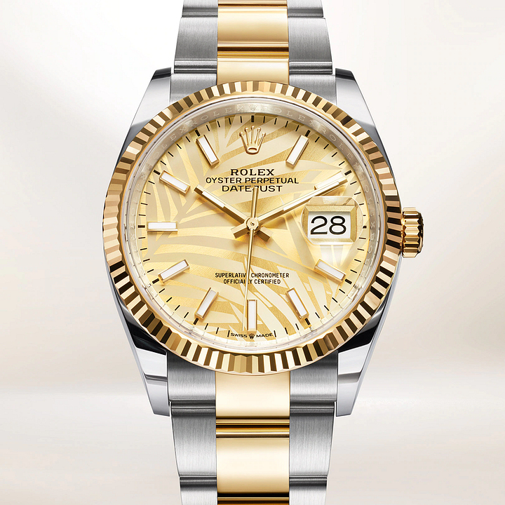 デイトジャスト 36 オイスター 36 mm オイスタースチール＆イエローゴールド