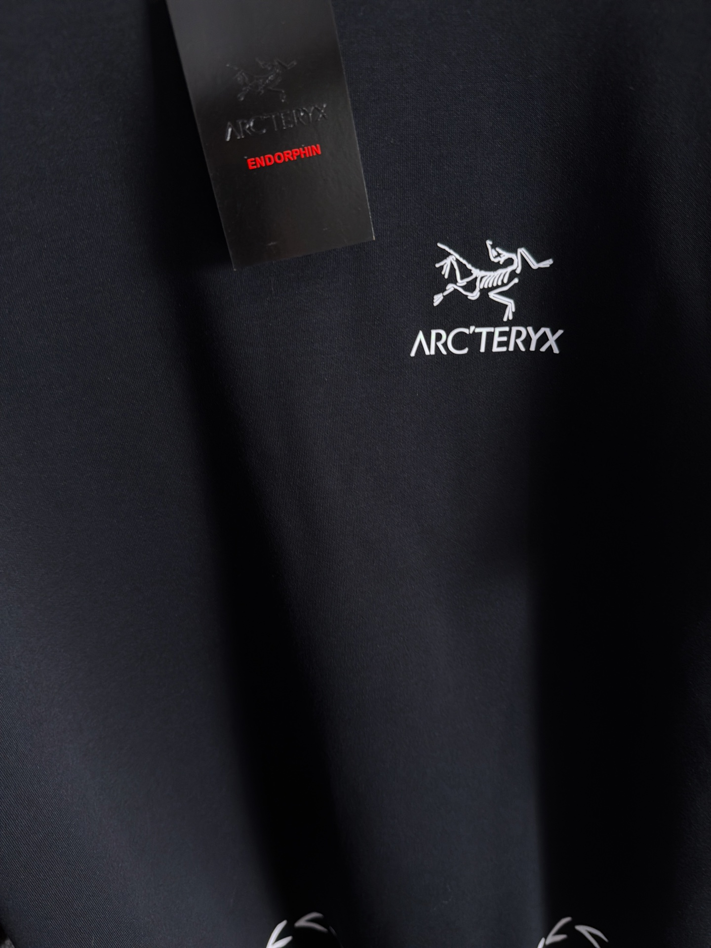 【ARC TERYX】半袖T シャツショートパンツ セットアップ