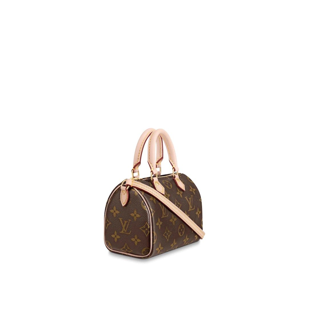 Louis Vuitton ナノスピーディ モノグラム バッグ