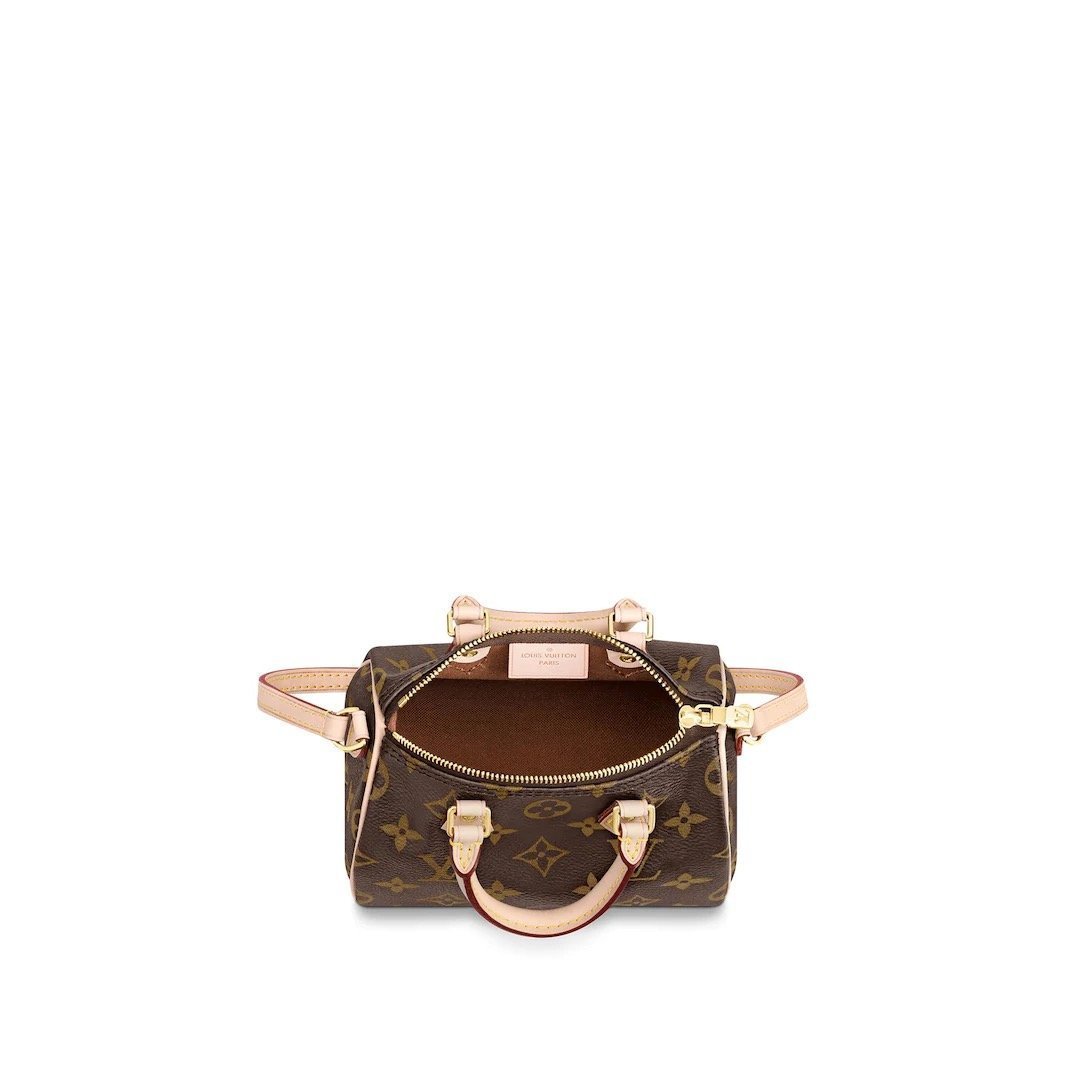 Louis Vuitton ナノスピーディ モノグラム バッグ