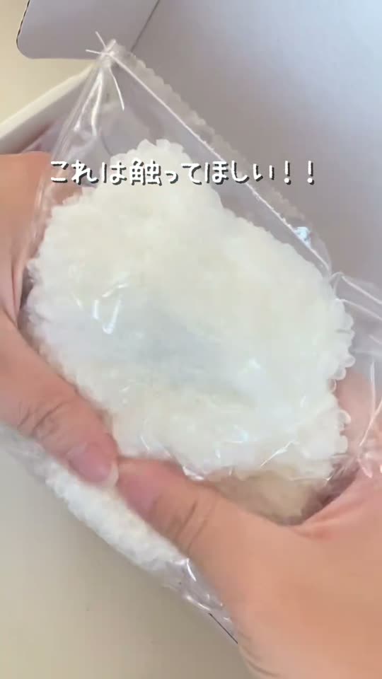 【米粒肉球／食パン】シリコン製のスローリバウンド式ストレス解消グッズ（スクイーズタイプ）