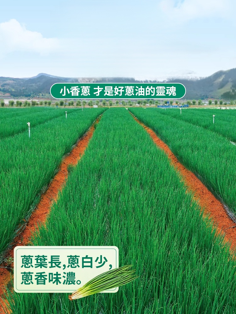 【2瓶裝】蔥油拌麵醬