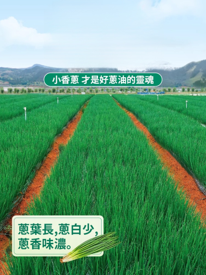 【2瓶裝】蔥油拌麵醬