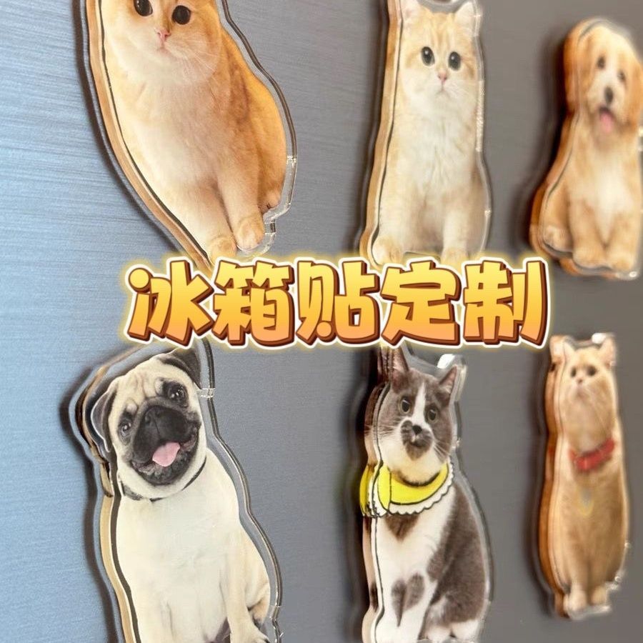 新款磁吸冰箱贴猫咪小狗宠物定制可爱diy照片人物订做定制文创