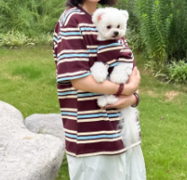 寵物+主人親子裝