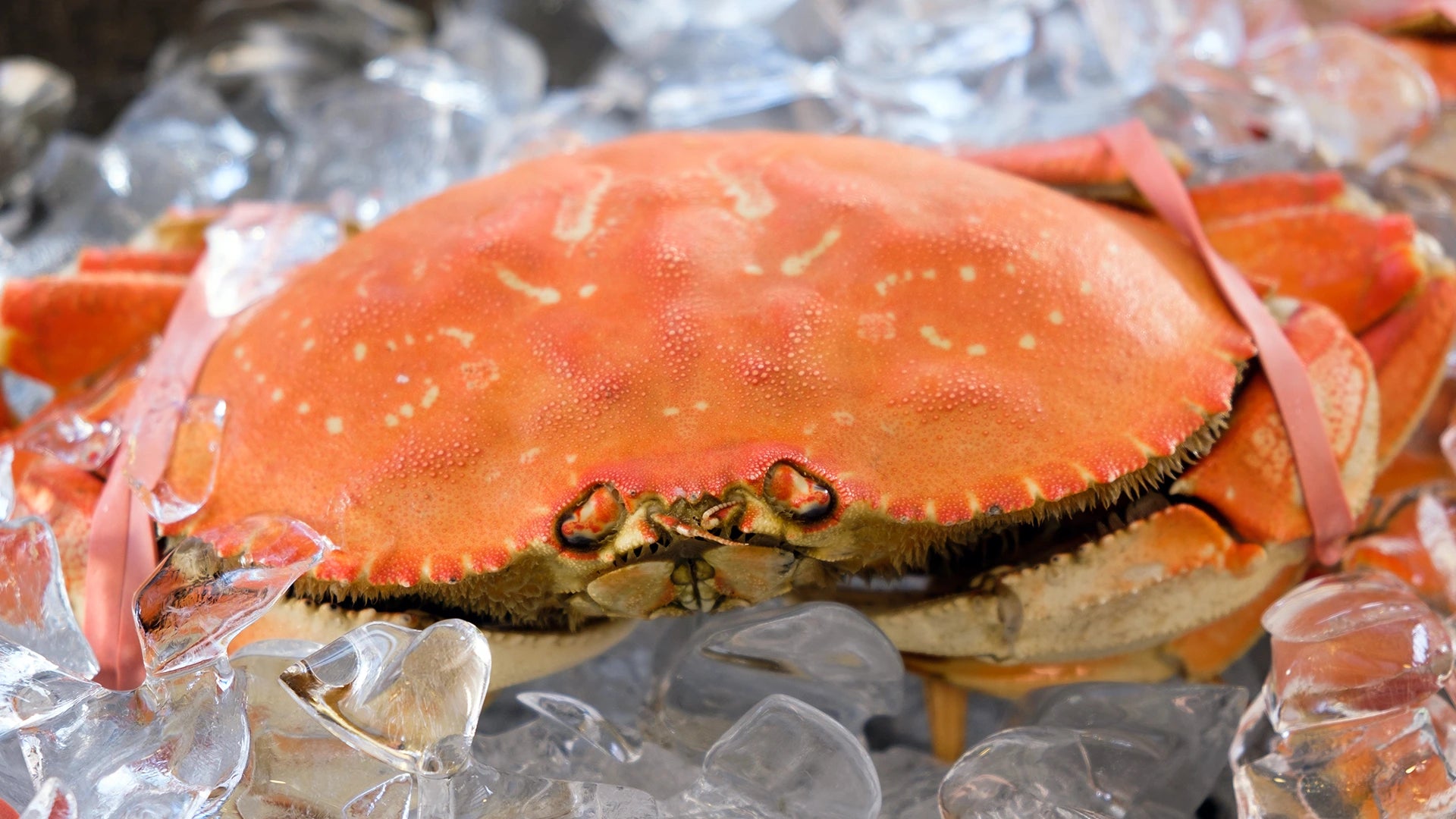Make Teochew Cold Crab at Home