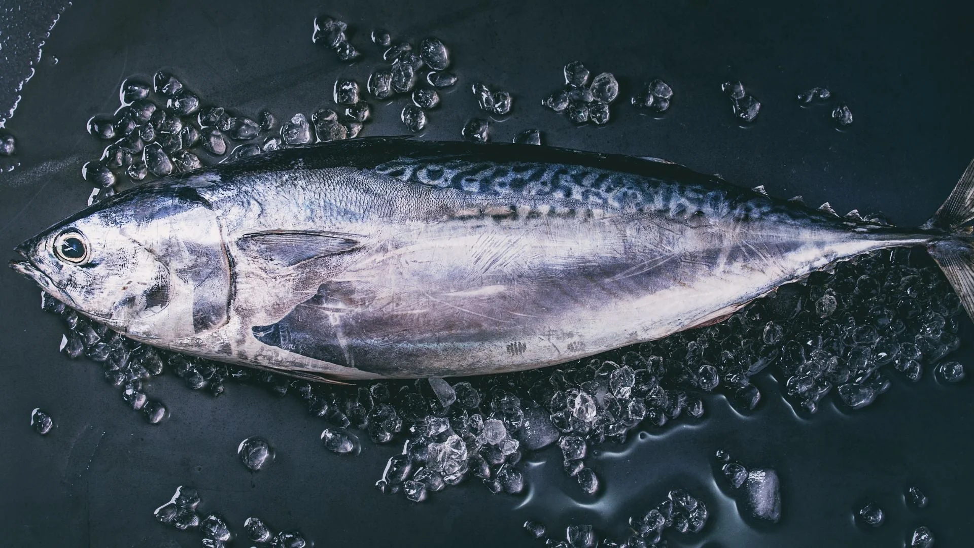 Fresh Seafood