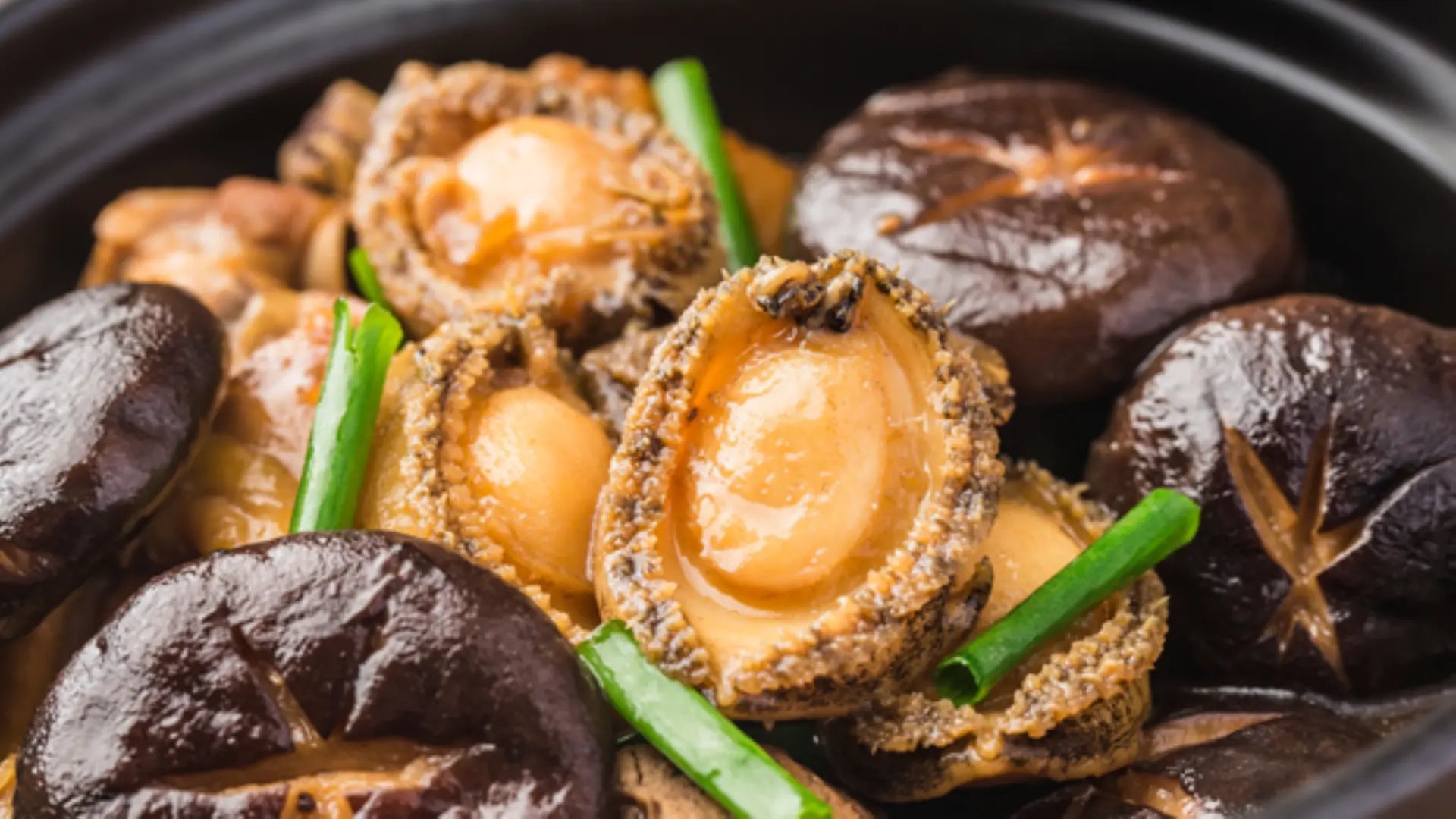 canned abalone