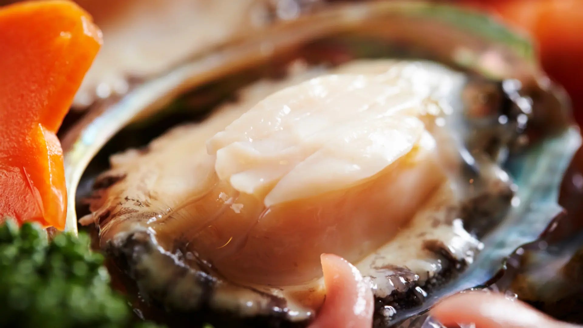 abalone soup