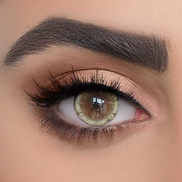 Big Eye Brown - 2 Lenses - Half Yearly