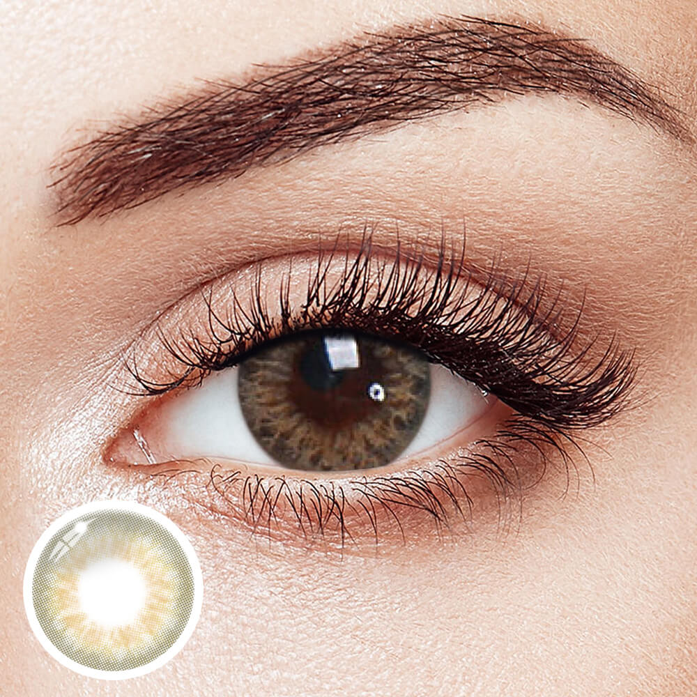 DNA Taylor Brown Hazal - 2 Lenses - Half Yearly