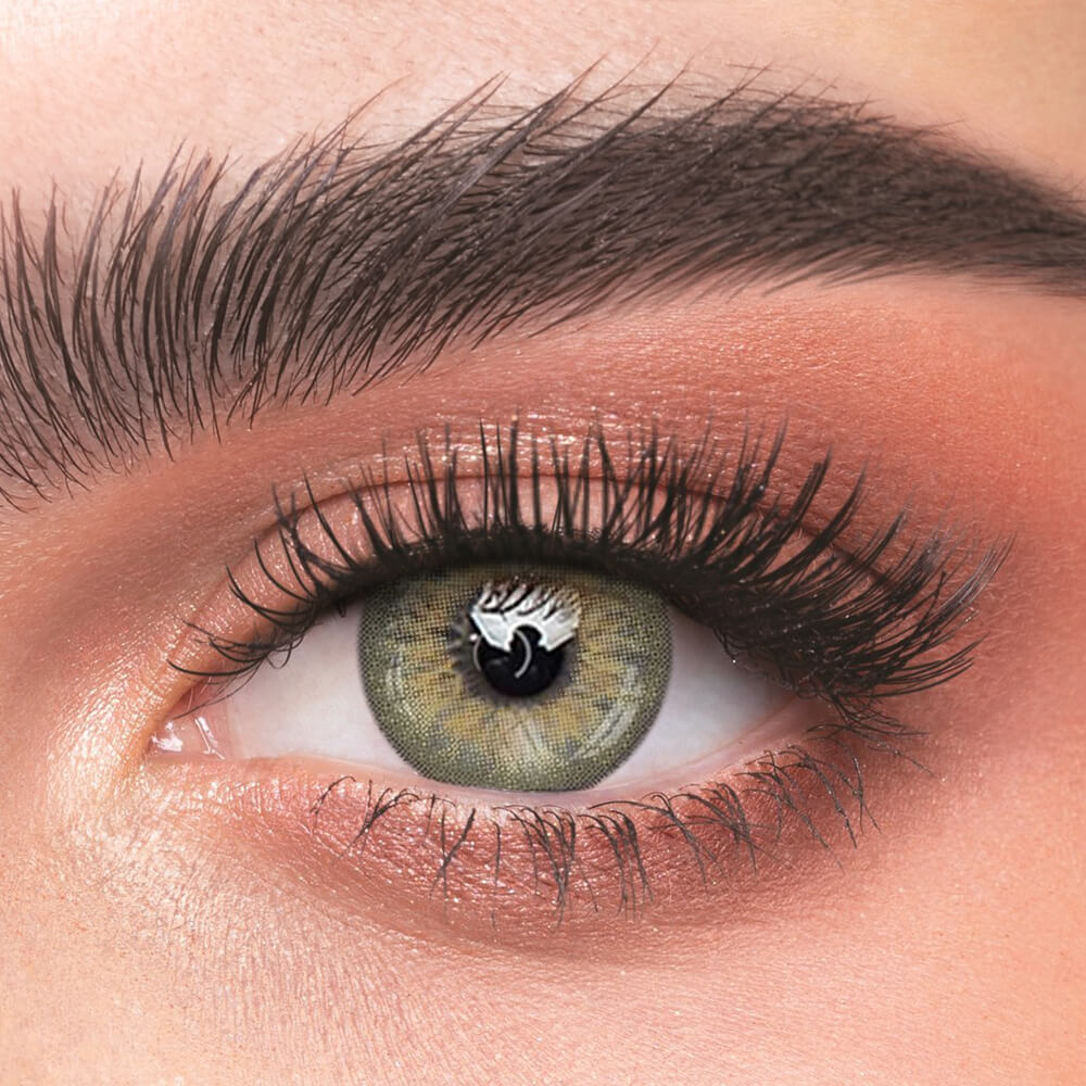 DNA Taylor Brown Hazal - 2 Lenses - Half Yearly