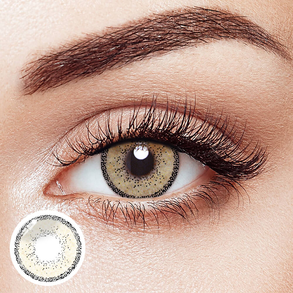 EDGE Brown - 2 Lenses - Half Yearly