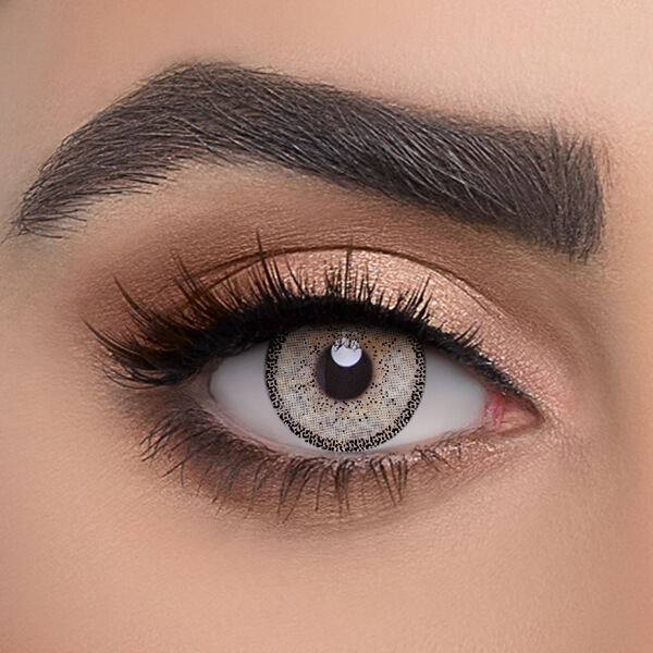 EDGE Gray - 2 Lenses - Half Yearly