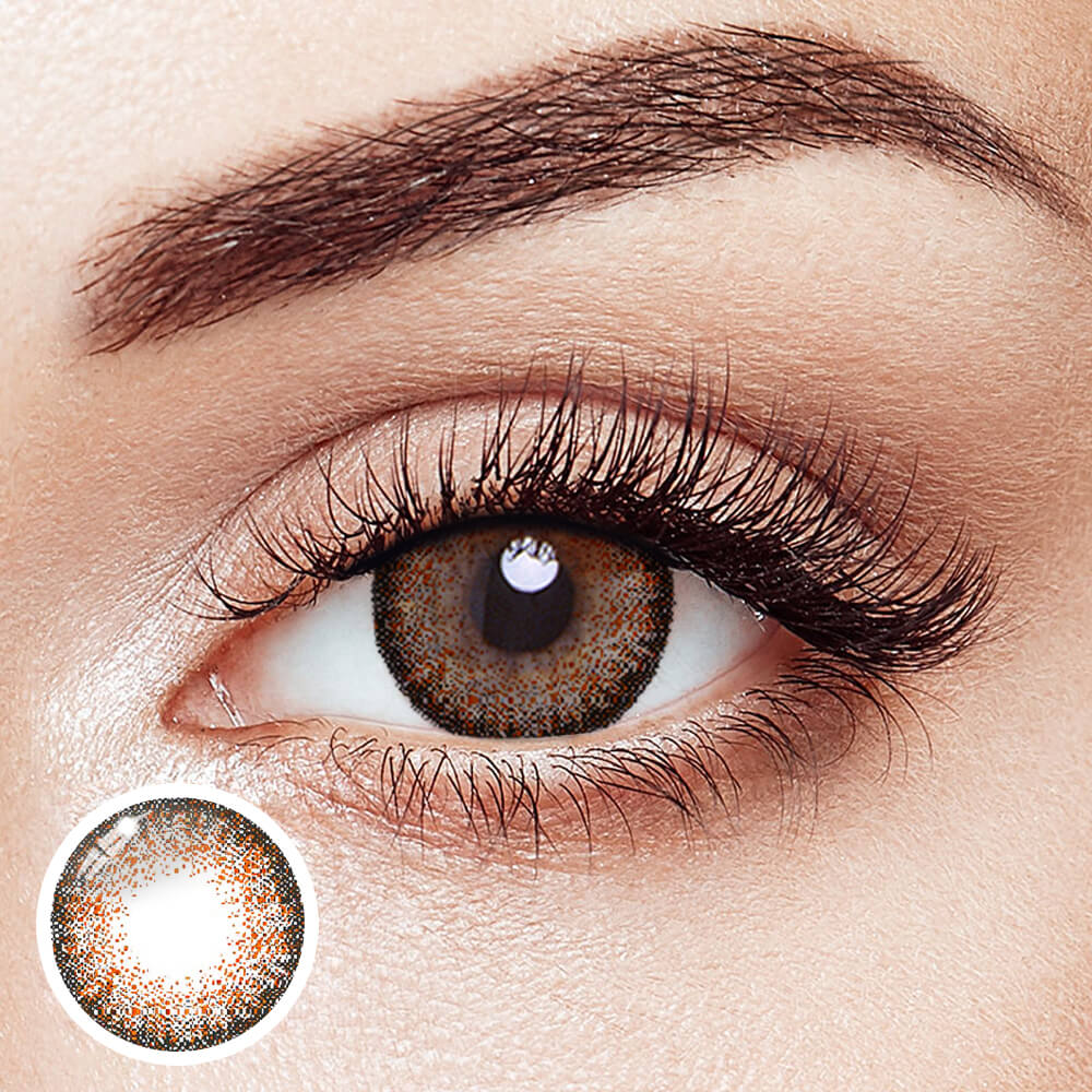 Egypt Brown - 2 Lenses - Half Yearly
