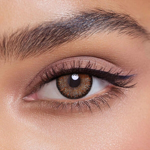 Egypt Brown - 2 Lenses - Half Yearly