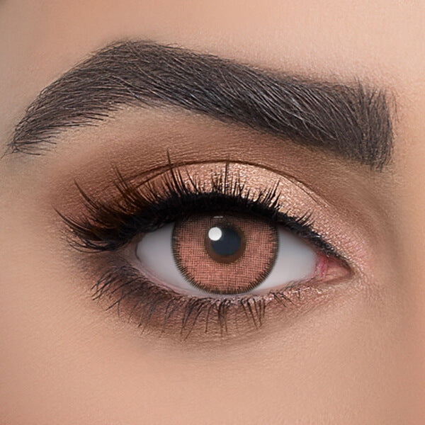 Elite Sandy Brown - 2 Lenses - Half Yearly