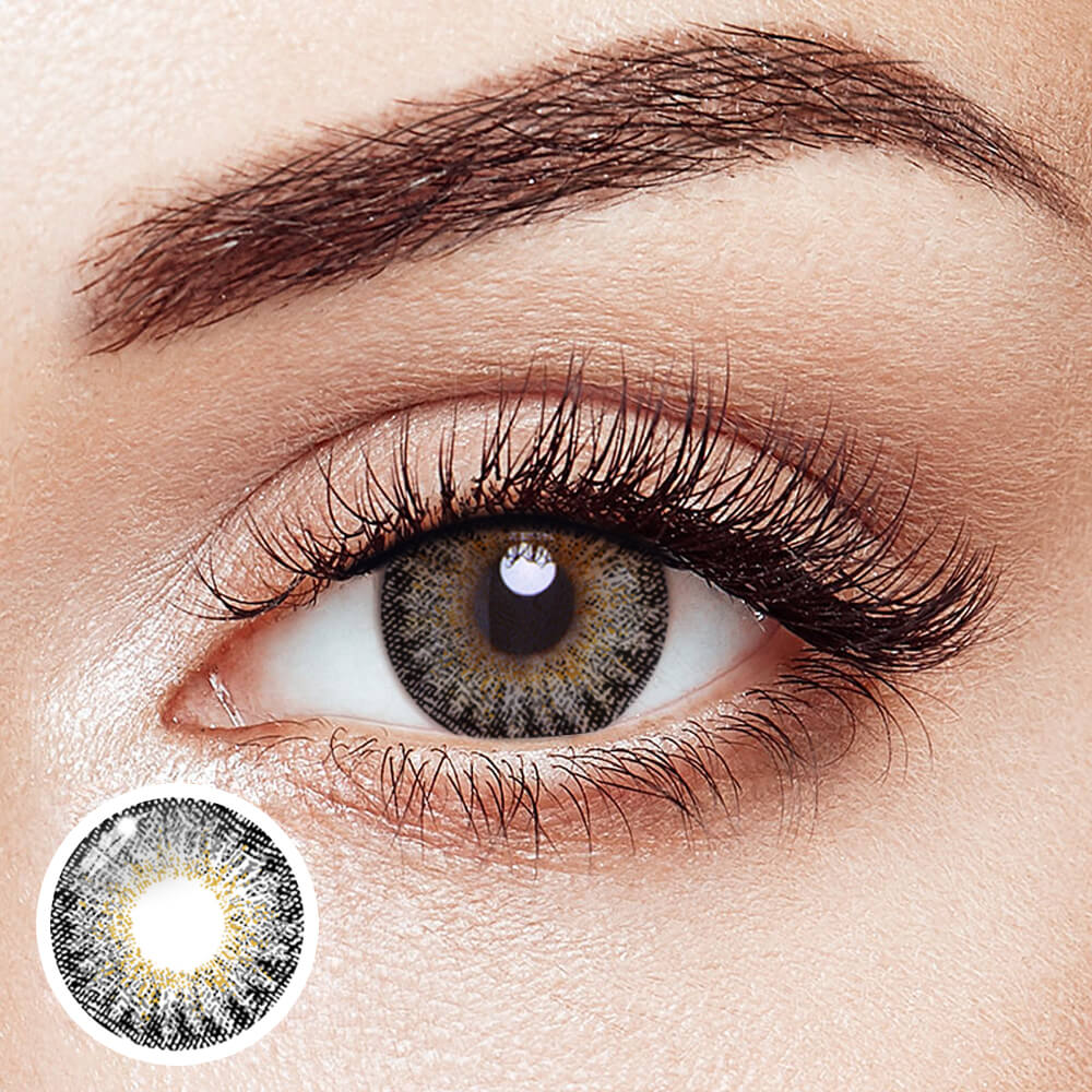 Forest Ember Brown - 2 Lenses - Half Yearly