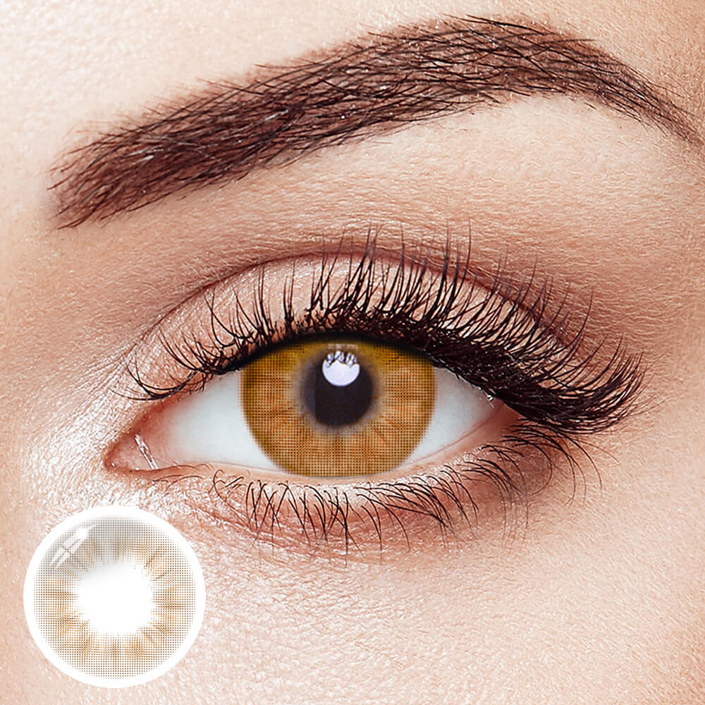 Glacier Brown - 2 Lenses - Half Yearly