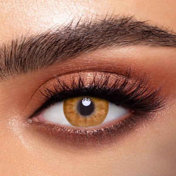 Glacier Brown - 2 Lenses - Half Yearly