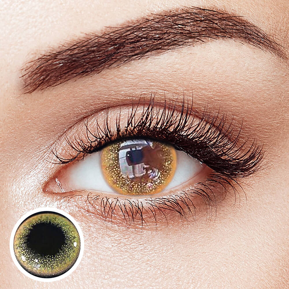 Gold Brown - 2 Lenses - Half Yearly