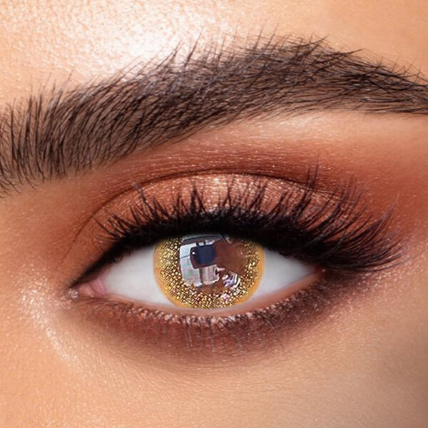 Gold Brown - 2 Lenses - Half Yearly
