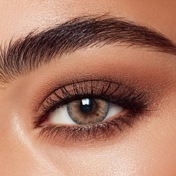 HC Brown - 2 Lenses - Half Yearly