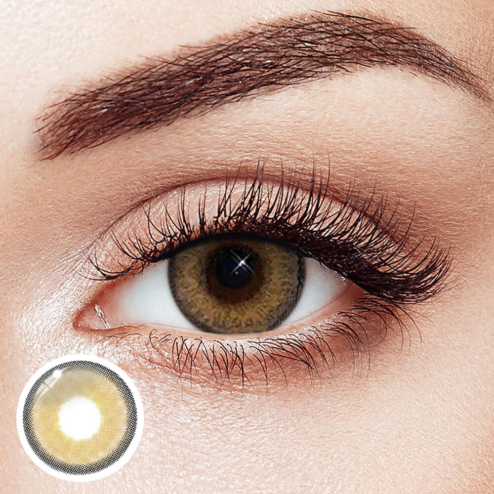 Himayala Brown - 2 Lenses - Half Yearly