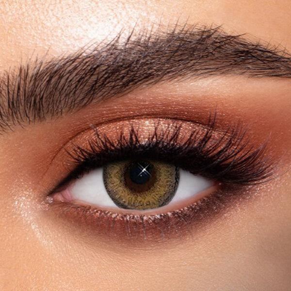 Himayala Brown - 2 Lenses - Half Yearly