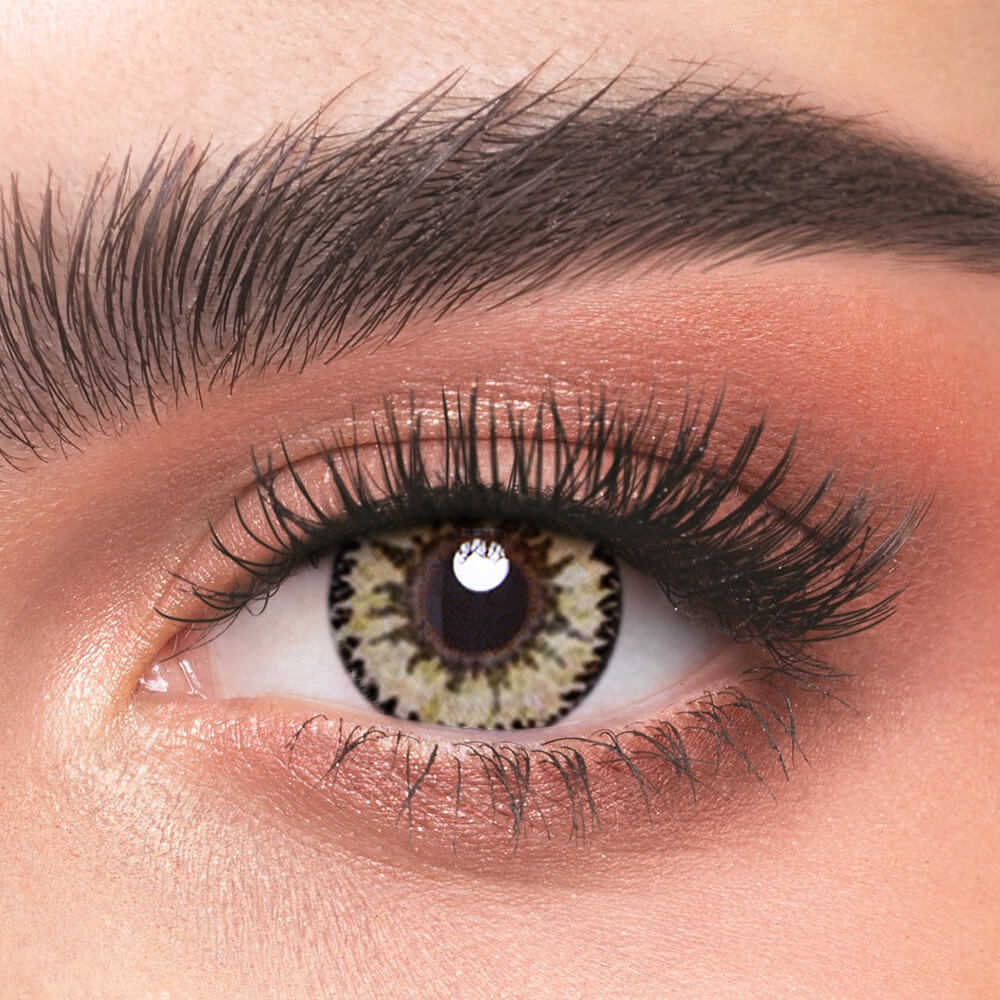 Hydrogel Brown - 2 Lenses - Half Yearly