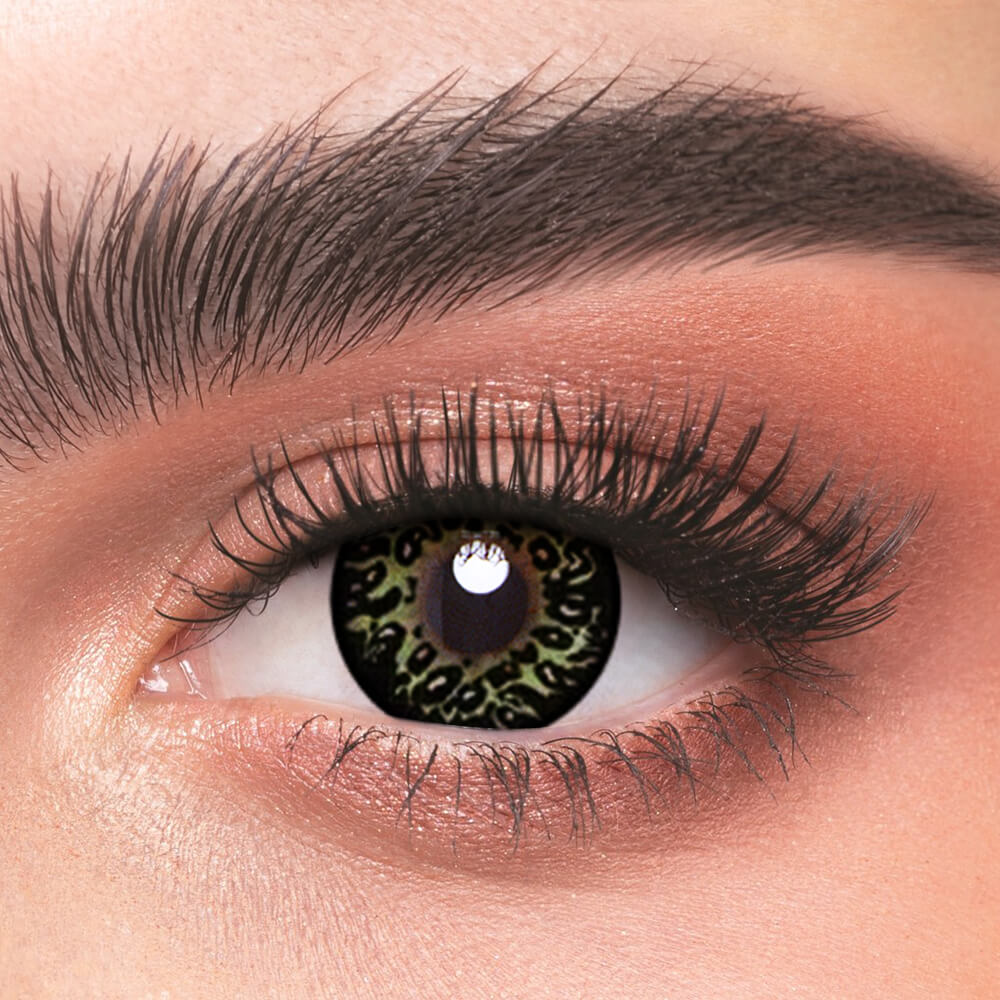 Leopard Green - 2 Lenses - Half Yearly