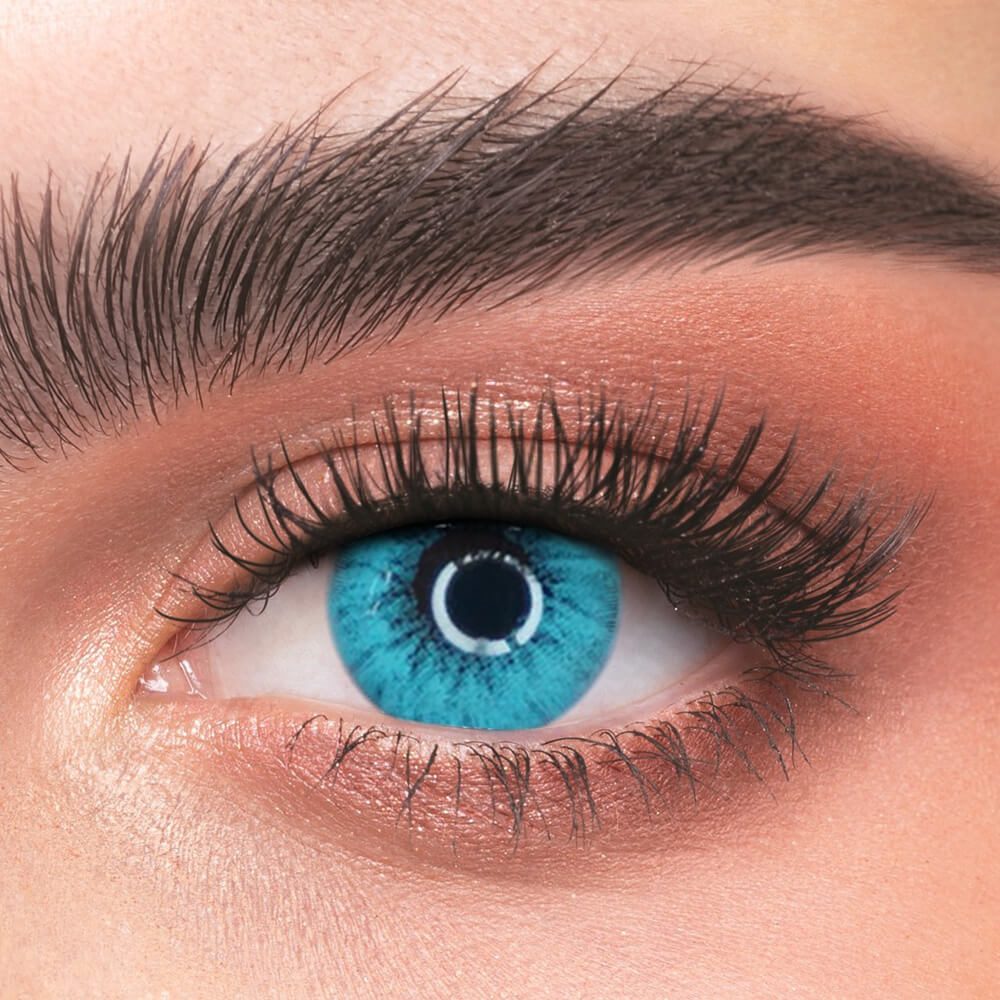 Lee Bible Blue - 2 Lenses - Half Yearly