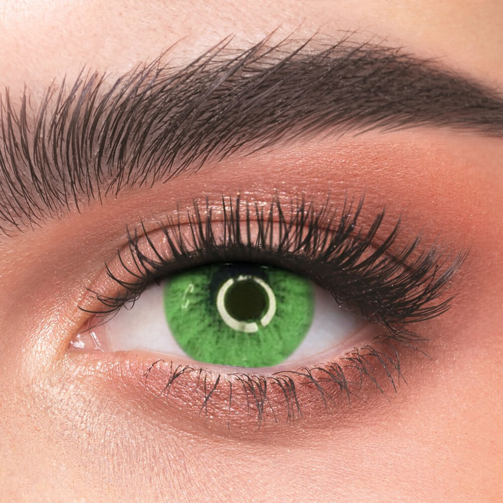 Lee Bible Green - 2 Lenses - Half Yearly