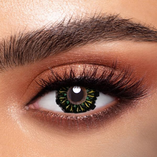 Mixed Green - 2 Lenses - Half Yearly