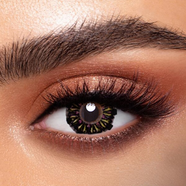 Mixed Purple - 2 Lenses - Half Yearly