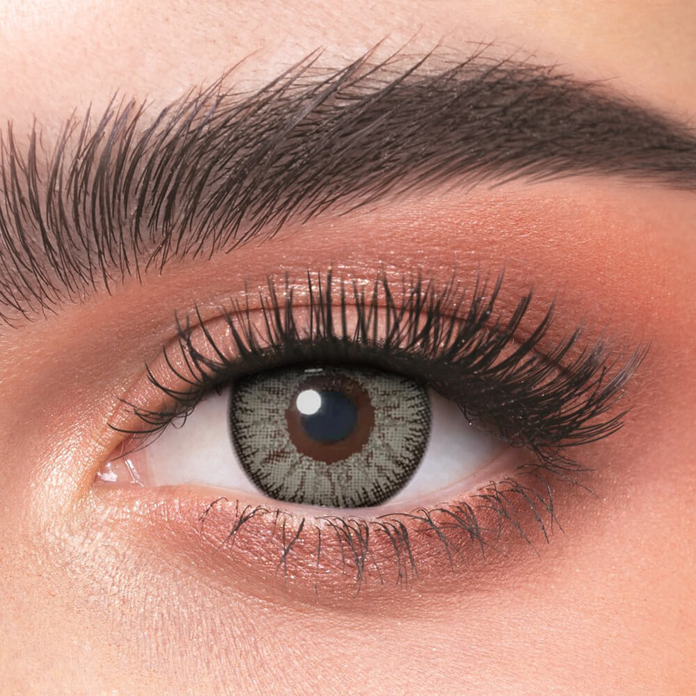 Vika Tricolor Gray - 2 Lenses - Half Yearly
