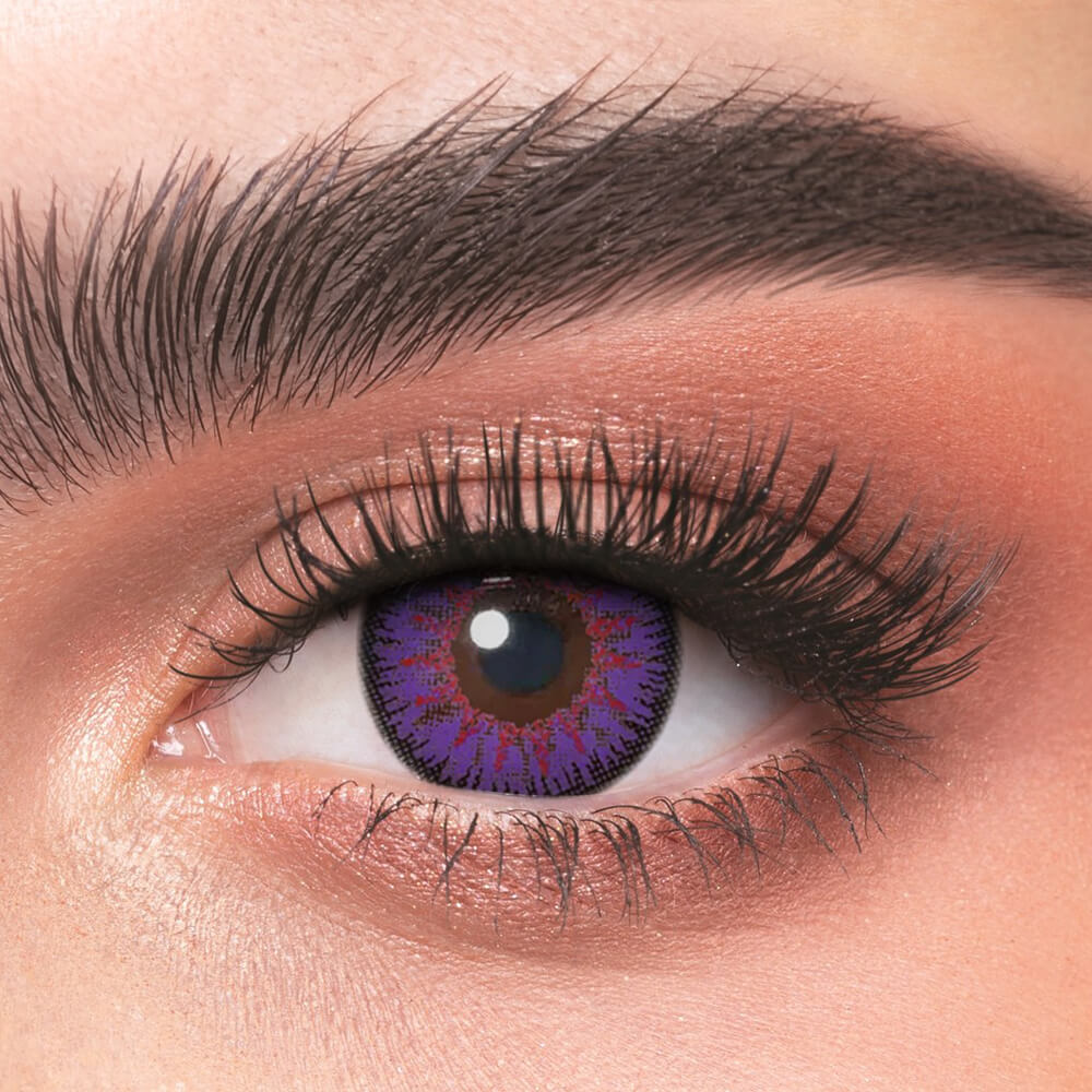 Vika Tricolor Purple - 2 Lenses - Half Yearly