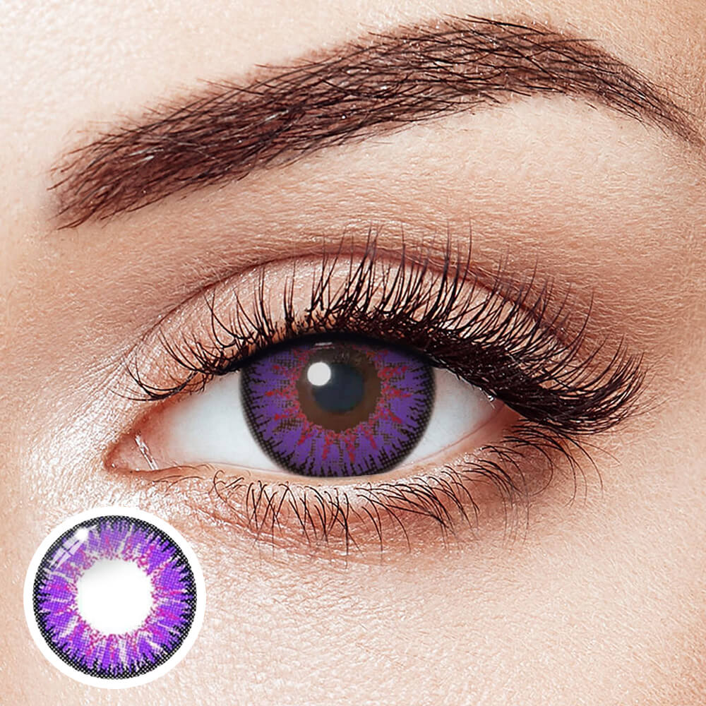 Vika Tricolor Purple - 2 Lenses - Half Yearly