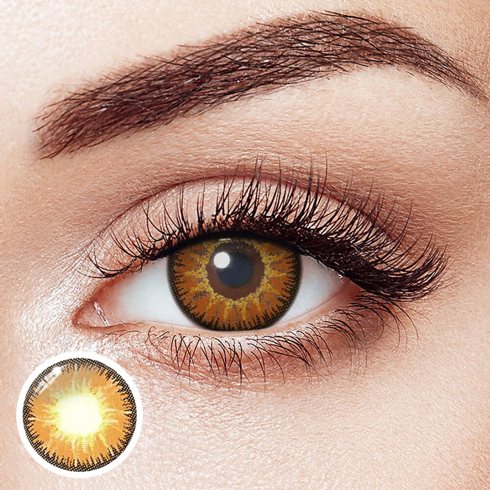 Vika Tricolor Brown - 2 Lenses - Half Yearly