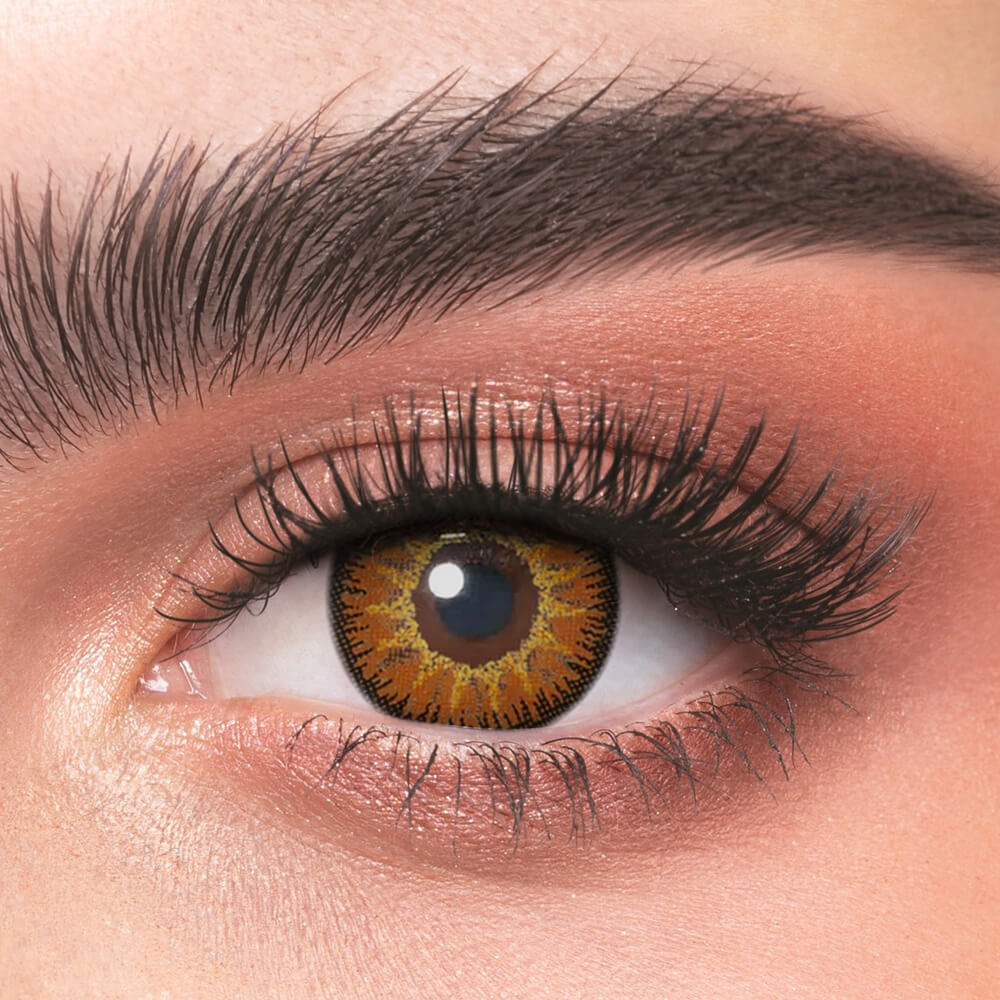 Vika Tricolor Brown - 2 Lenses - Half Yearly